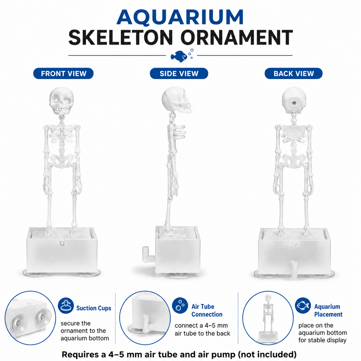 Aquarium skeleton ornament front side and back views